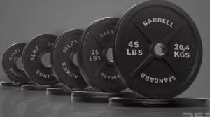 Rep Fitness REP Iron Plates diff weights
