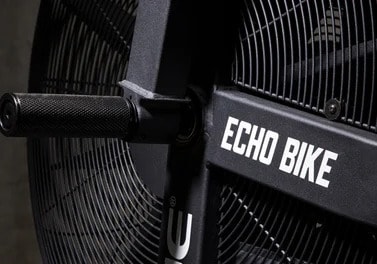 Rogue Echo Bike fan