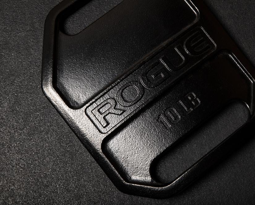 Rogue Echo Weight Vest Plate 10lb