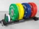 Rogue Horizontal Plate Rack 2.0 with plates 1