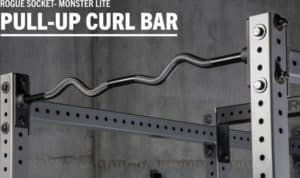 Rogue Monster Lite Socket Pull-up Curl Bar main