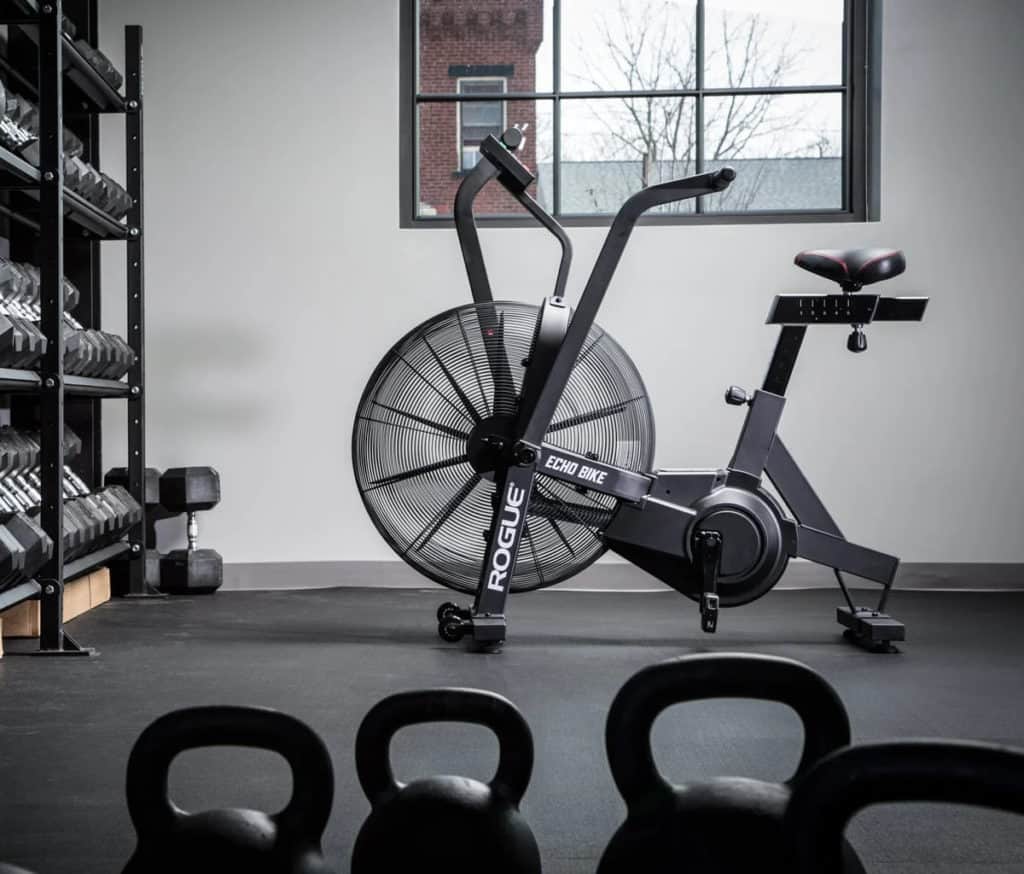 Rogue Echo Bike home gym