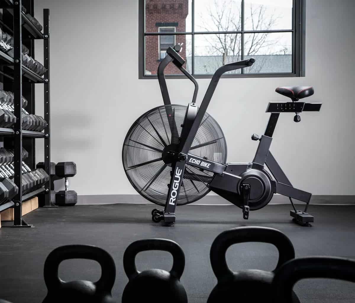rogue fitness bike echo