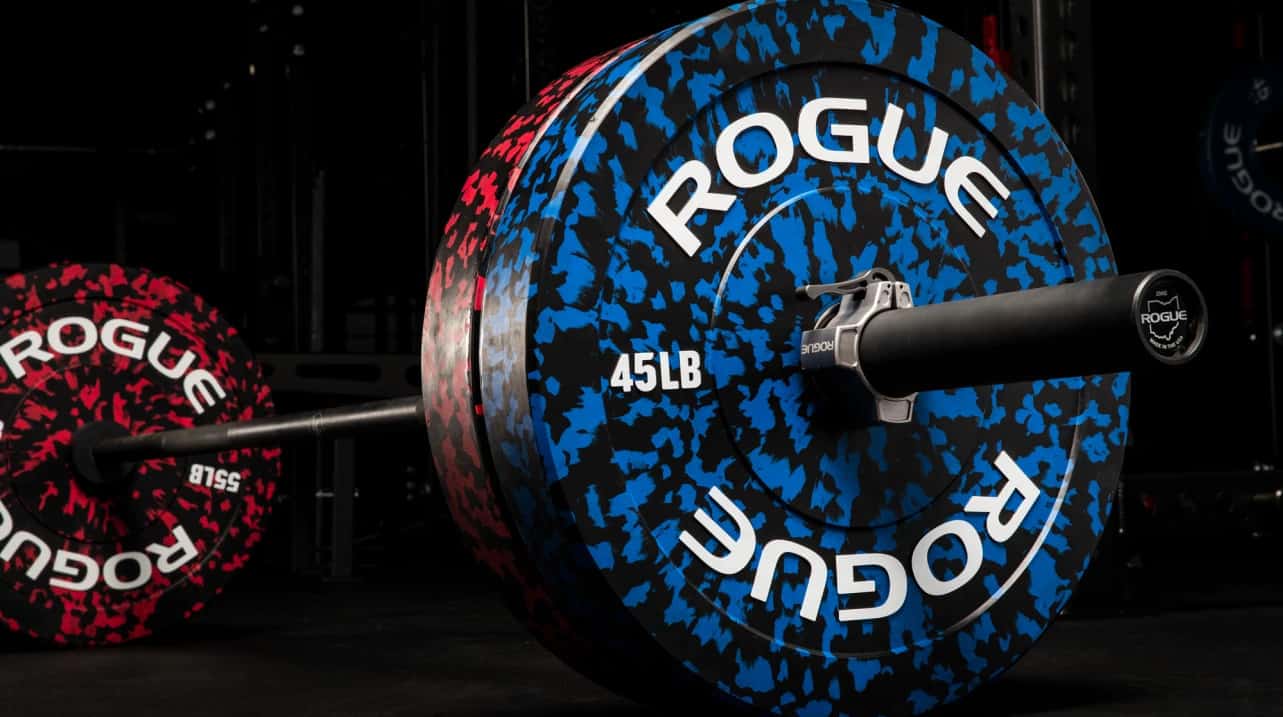 Rogue Fleck Plates 45lb and 55lb