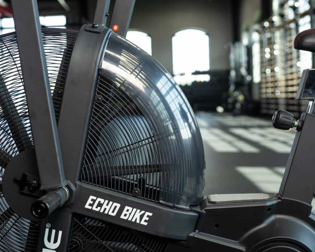 Rogue Echo Bike (HOT DEAL) flywheel