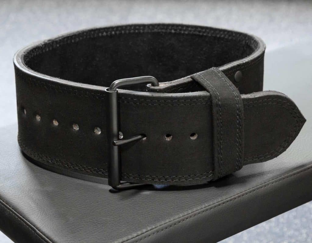 Rogue Echo Lifting Belt back