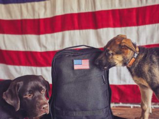 GORUCK GR0 - 16L Compact Rucksack - Made in the USA with dogs